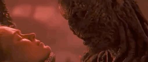 12月的最大圭臬 新剧来袭先睹为快